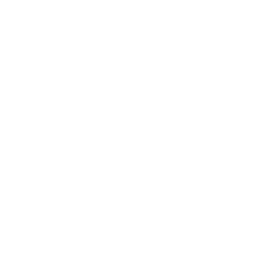 Zeidler